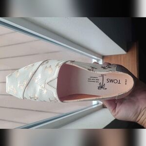 Tom's 8.5W shoes